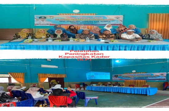 peningkatan kapasitas kader di Desa Gobah