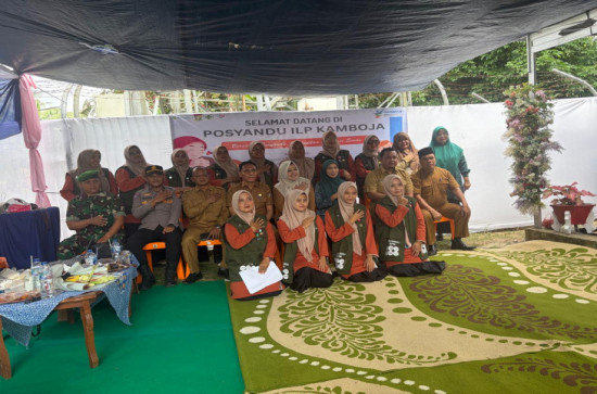 Posyandu Kamboja dan Kader Desa Aursati masuk kedalam kategori Penilaian tingkat Kabupaten